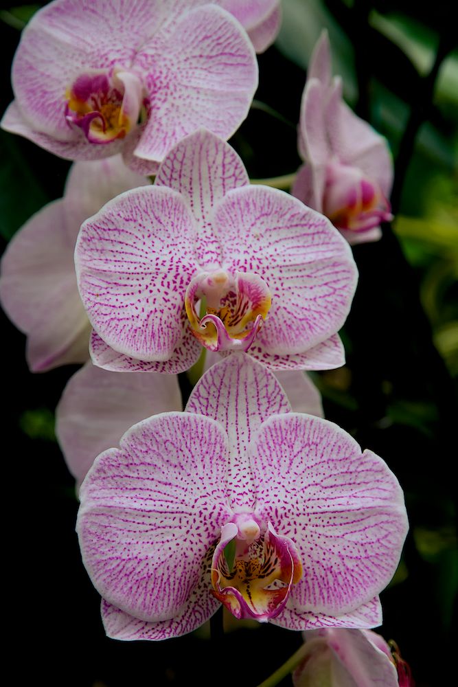 DSC_2074.jpg