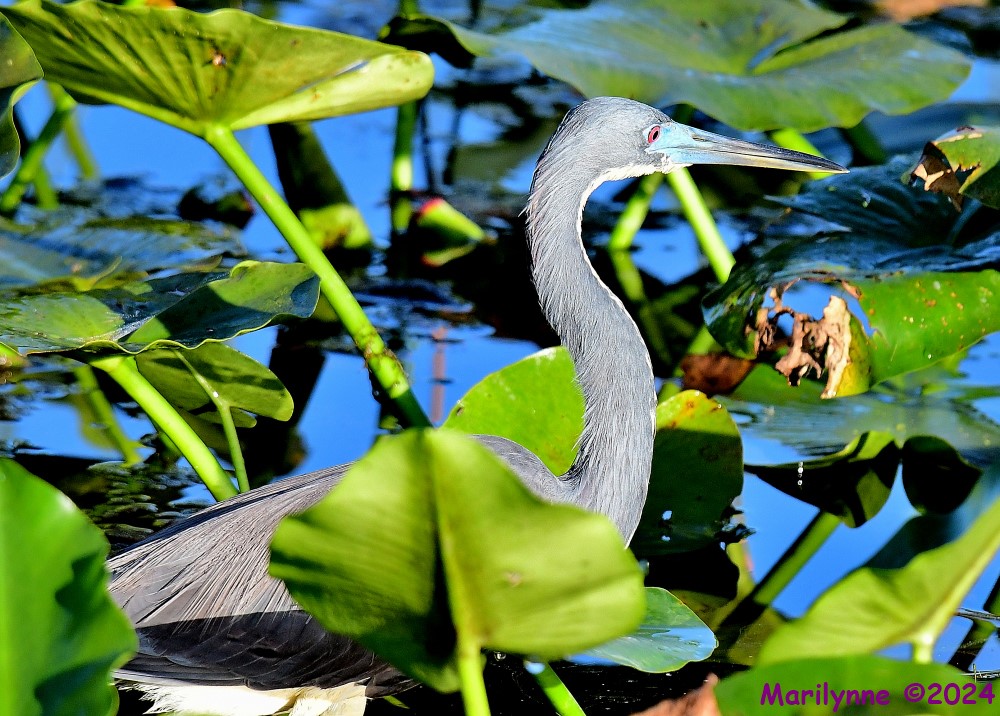 DSC_2074_001.JPG