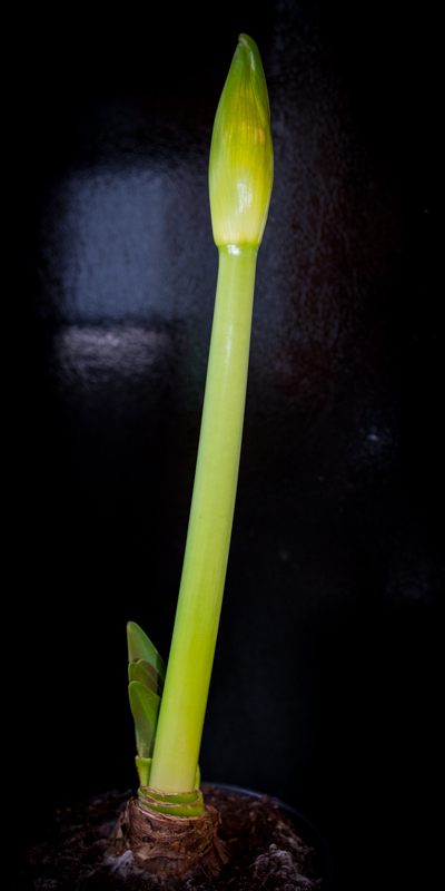 DSC_2074_5212.jpg