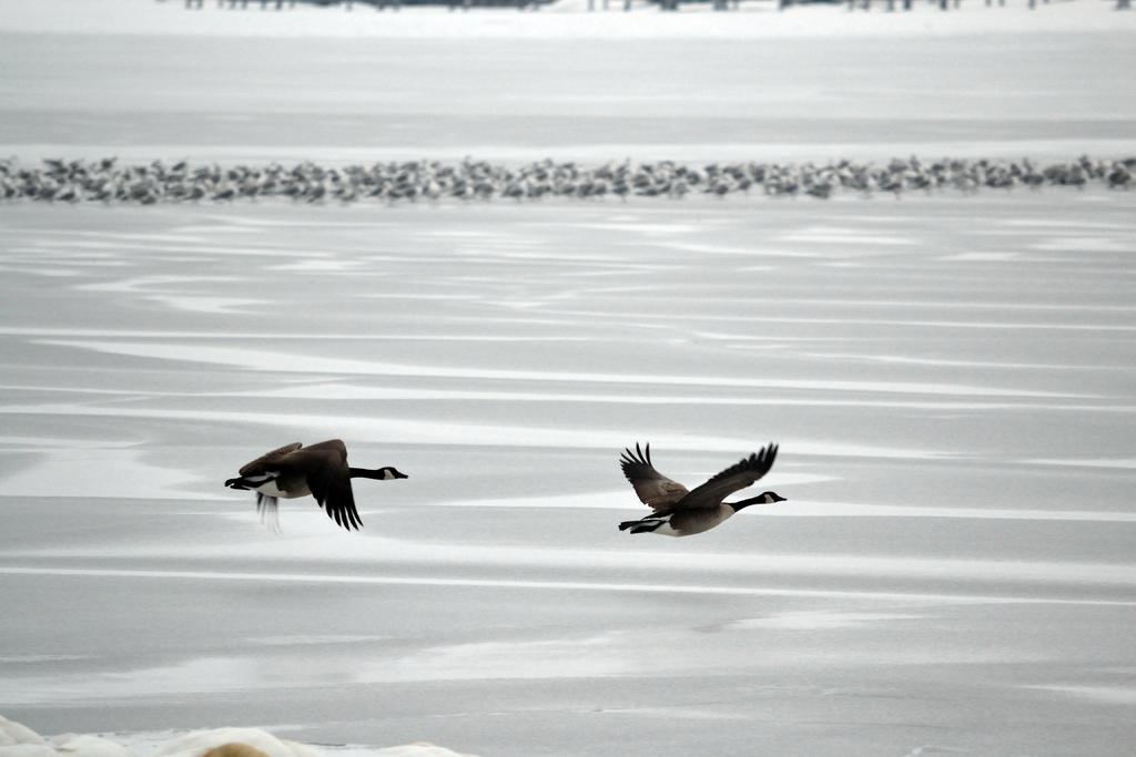 DSC_2076.jpg