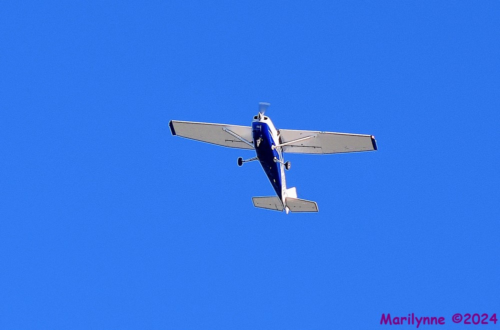 DSC_2079_001.JPG
