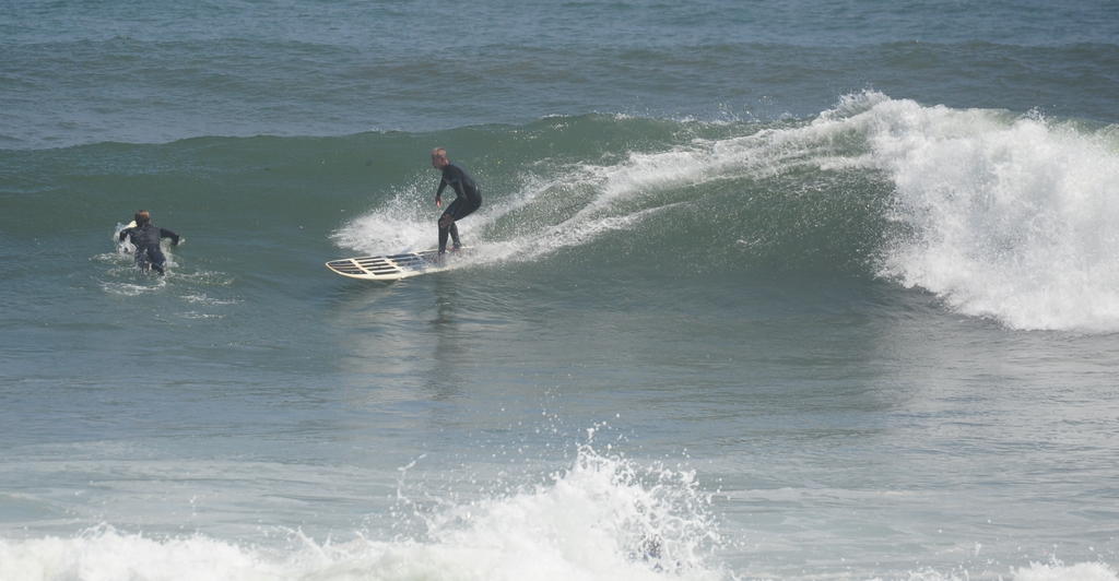 DSC_2081.jpg