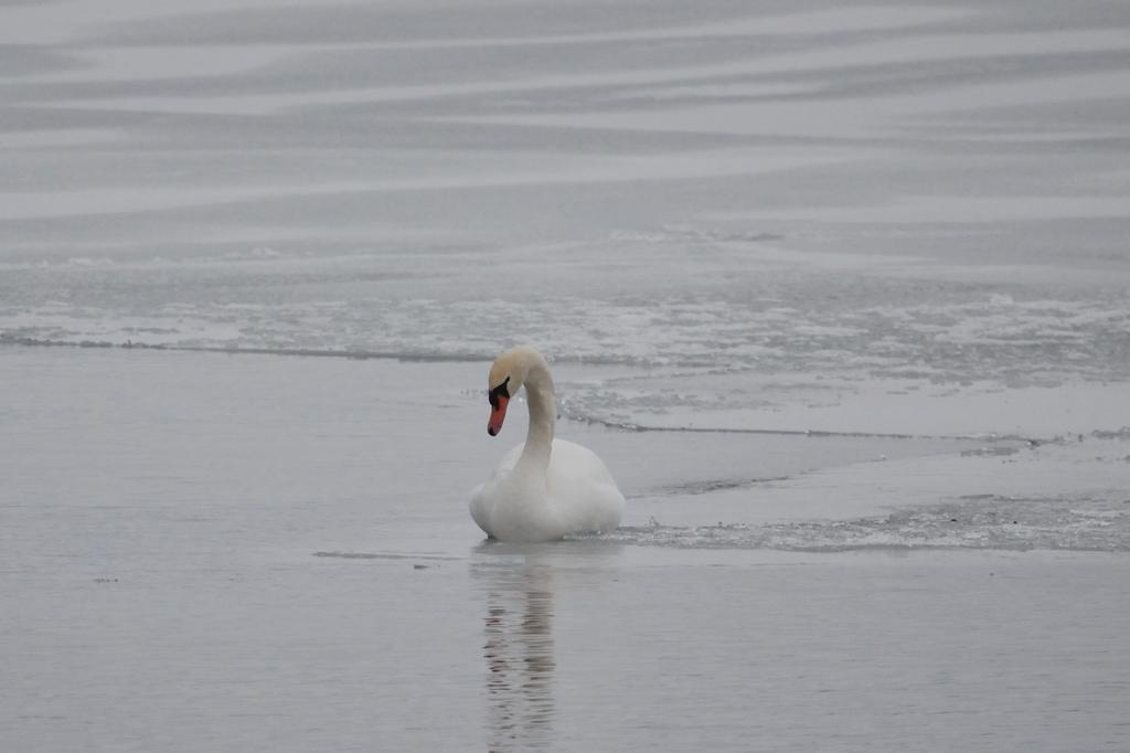 DSC_2081.jpg