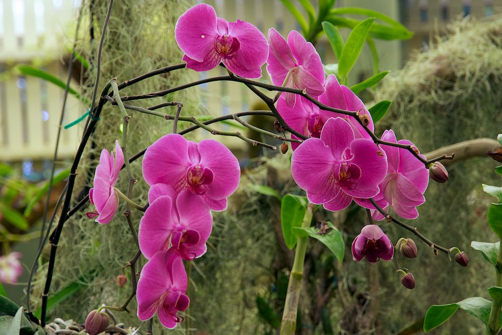 DSC_2082.jpg