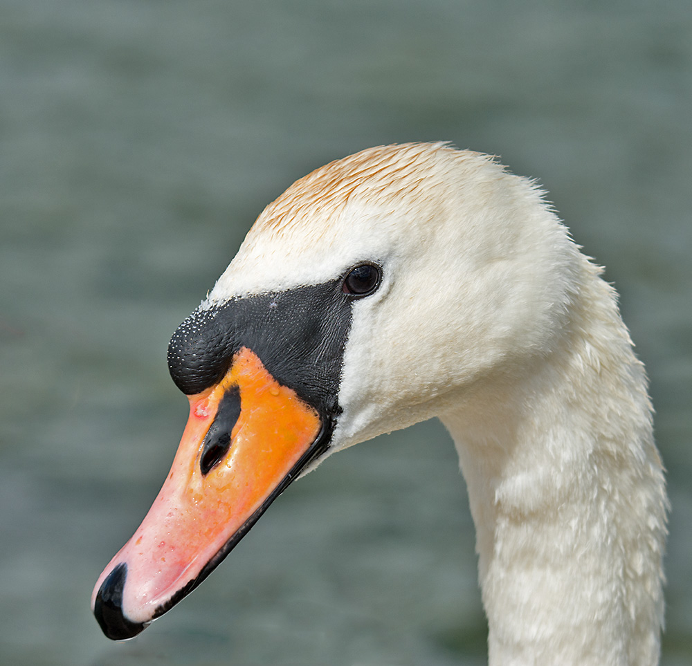 DSC_2083.jpg