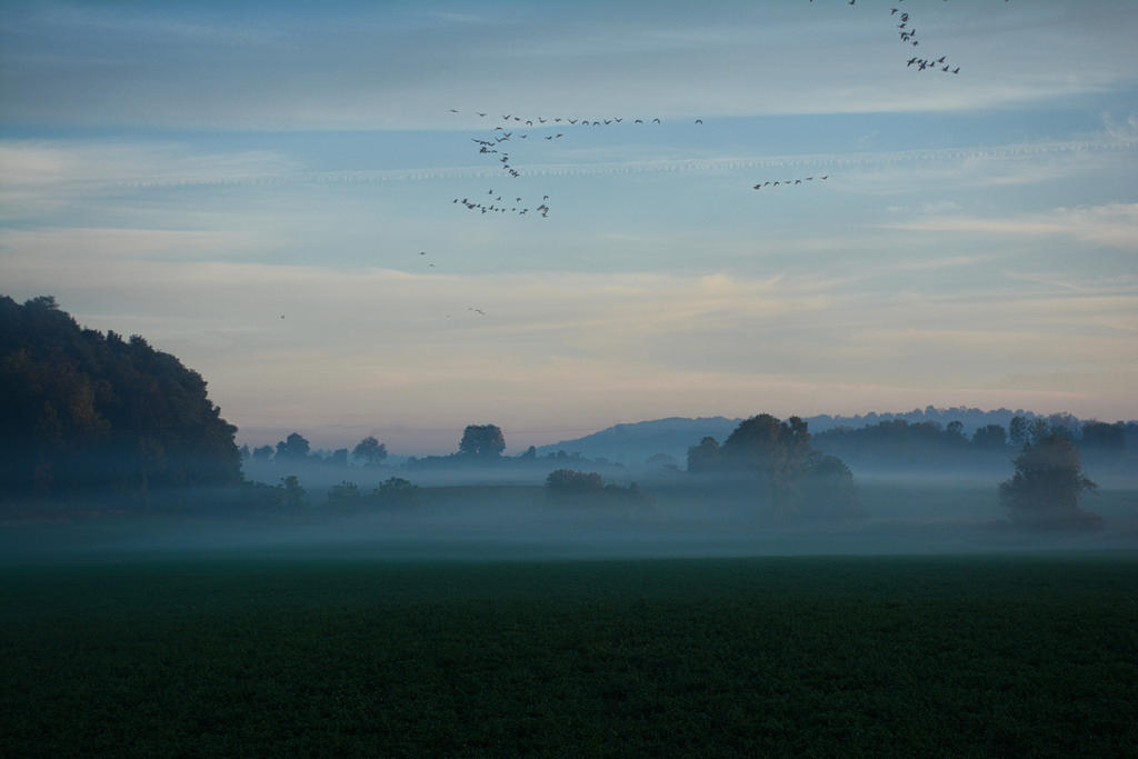 DSC_2085-1.jpg