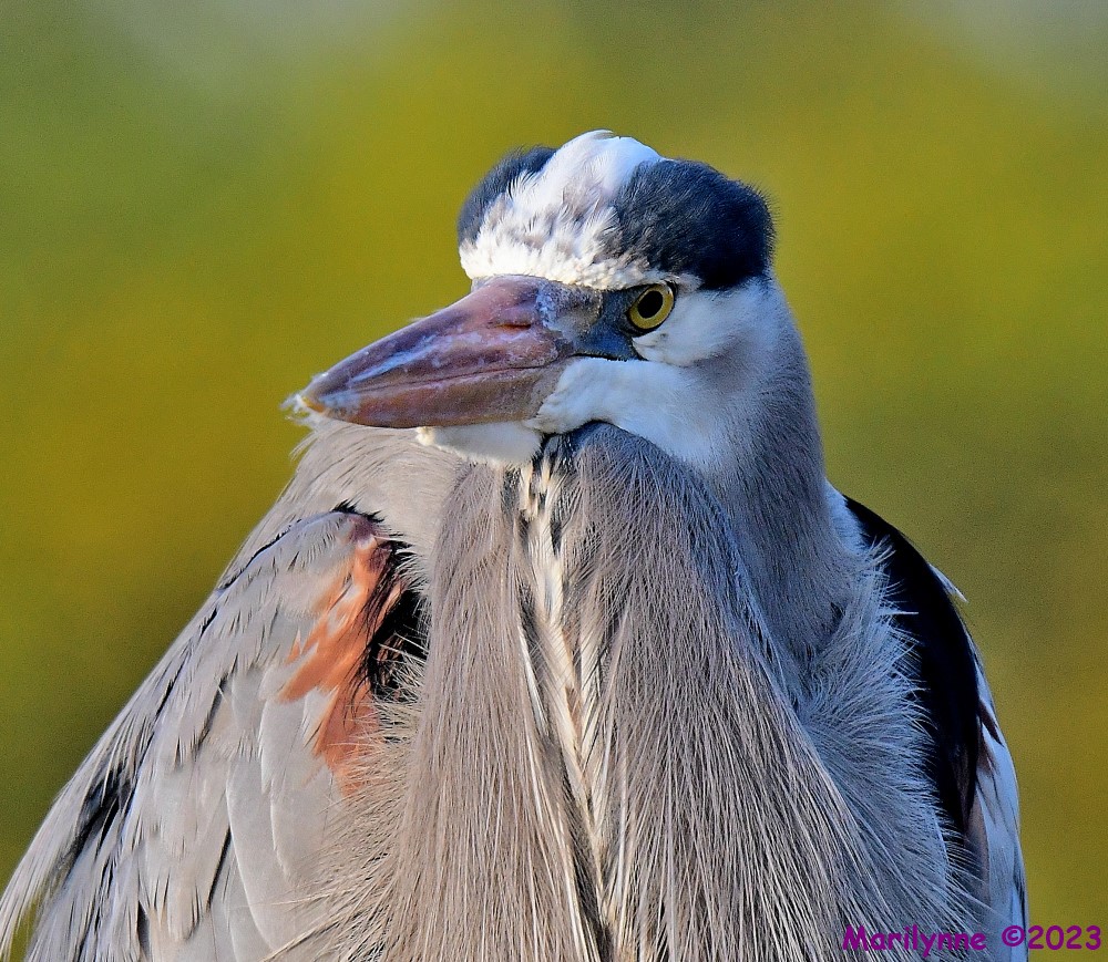 DSC_2086_001.JPG