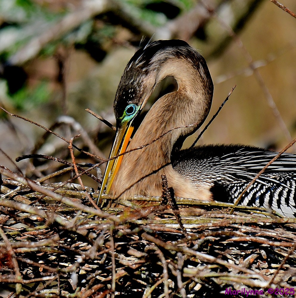 DSC_2087_001.JPG