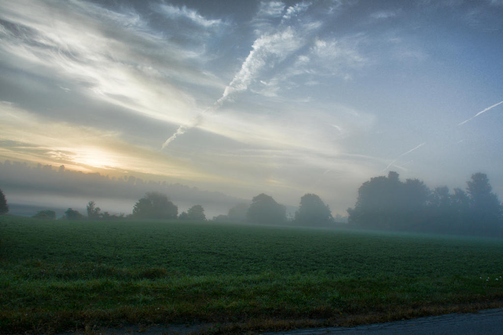 DSC_2091-1.jpg