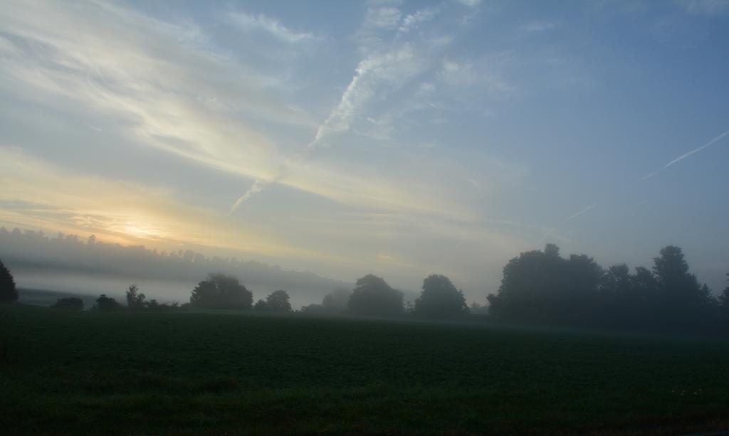 DSC_2091.jpg