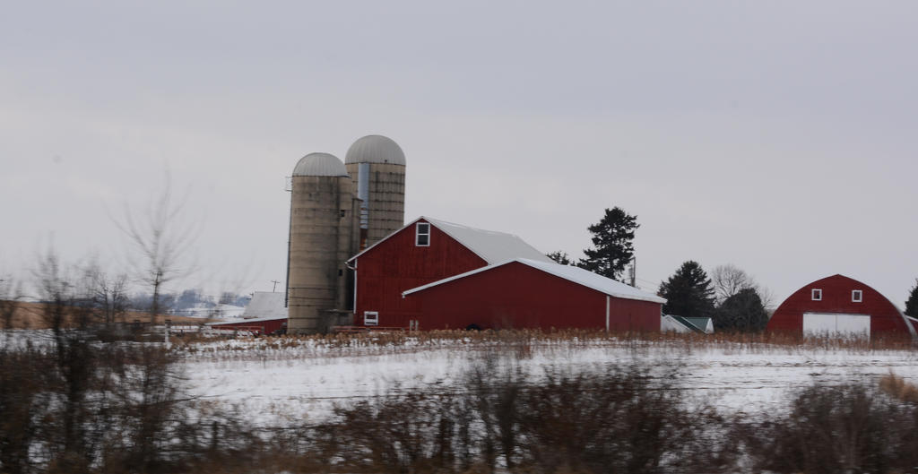 DSC_2091.jpg