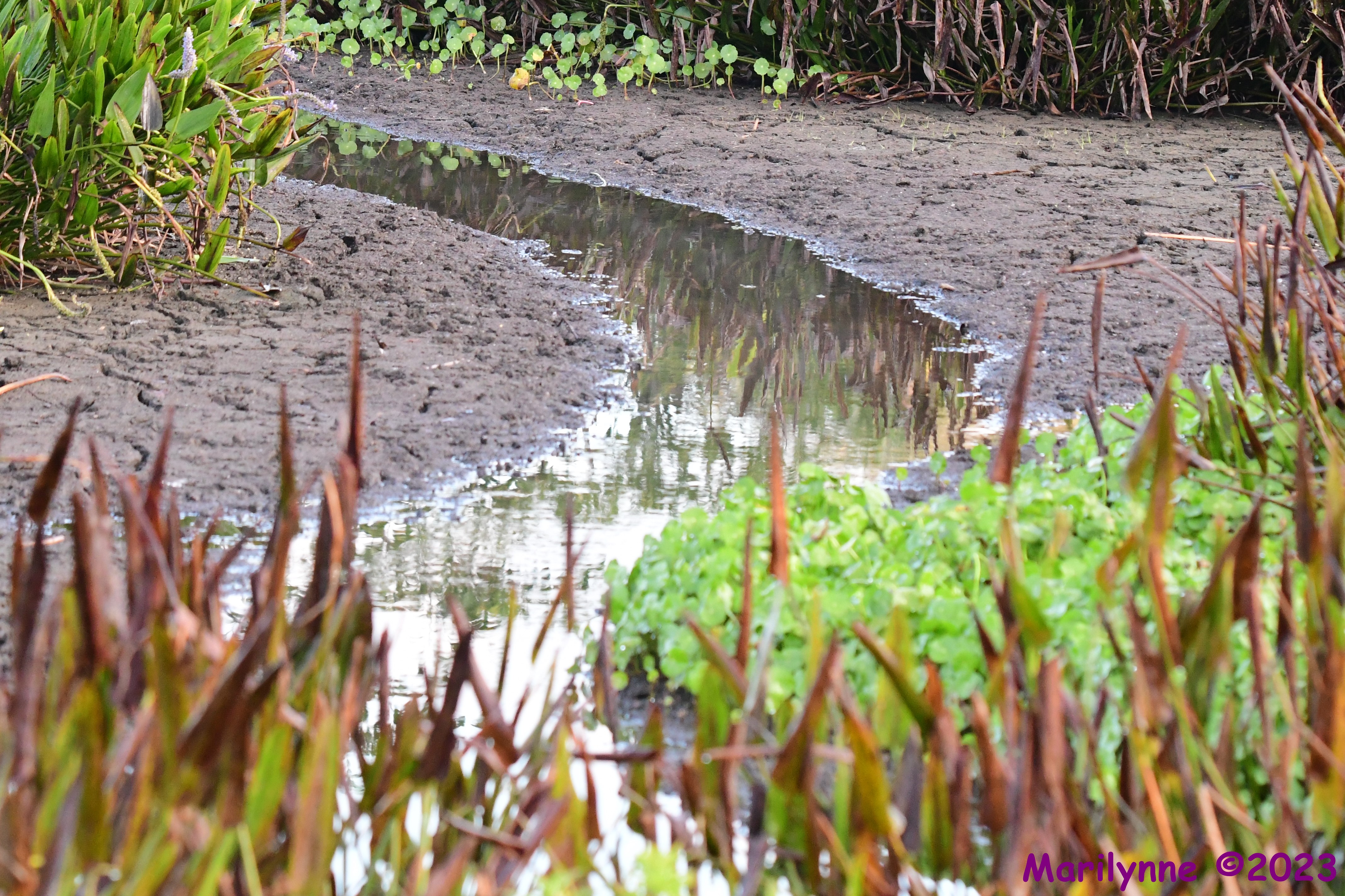 DSC_2091.JPG