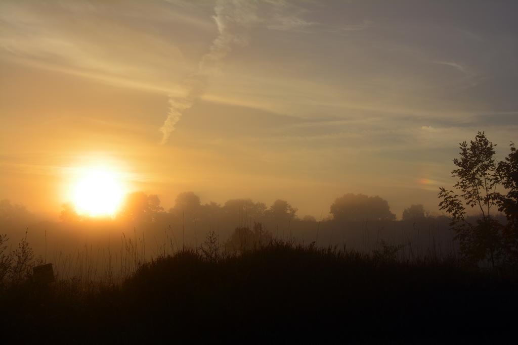 DSC_2093.jpg