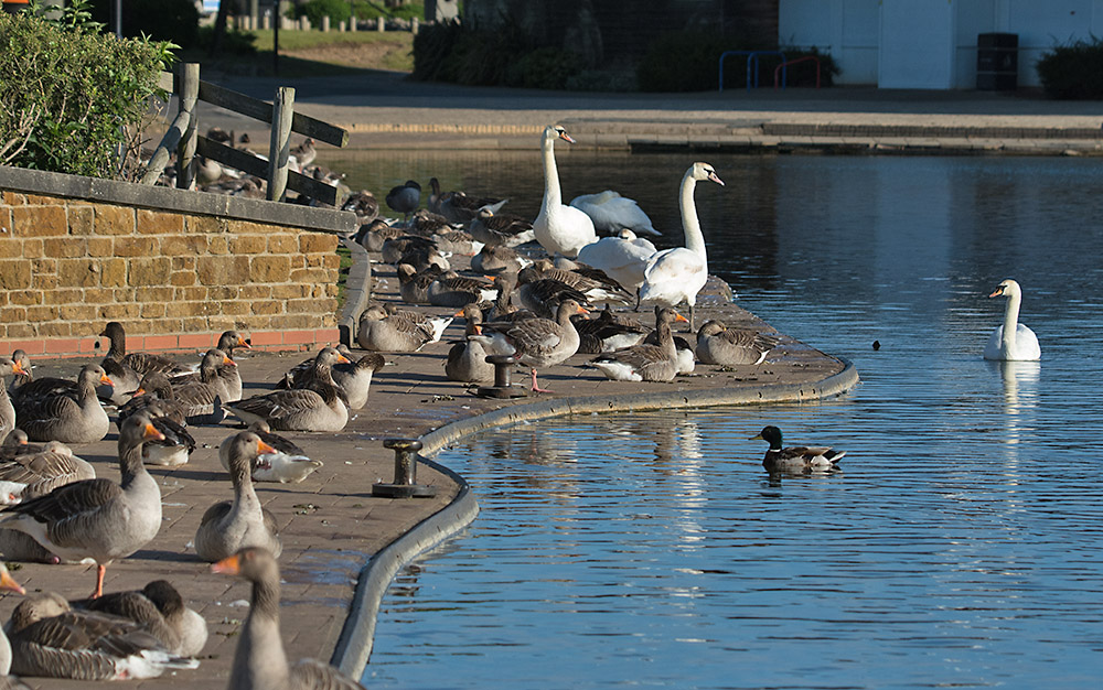DSC_2093.jpg