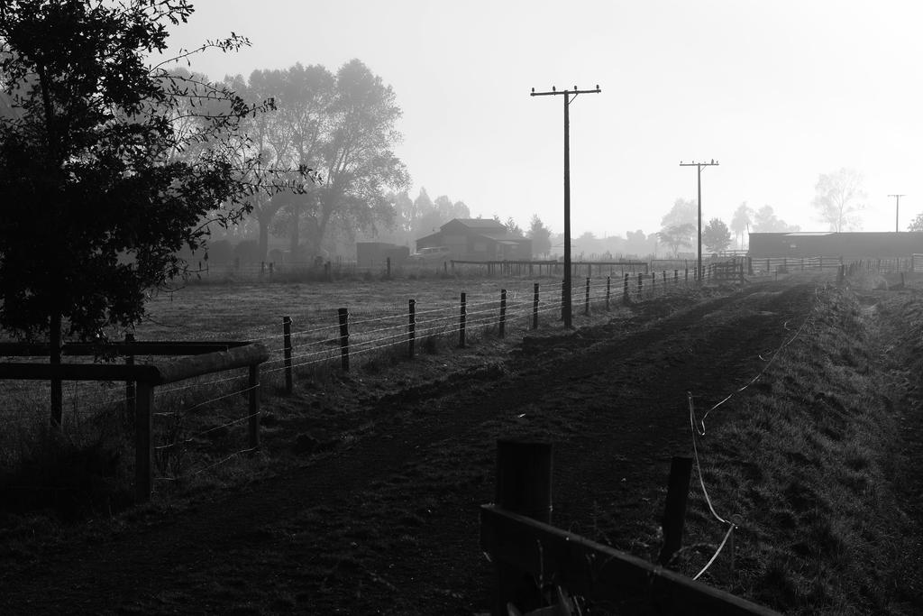 DSC_2098  B&W.jpg