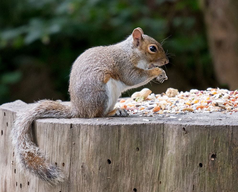DSC_2105.jpg