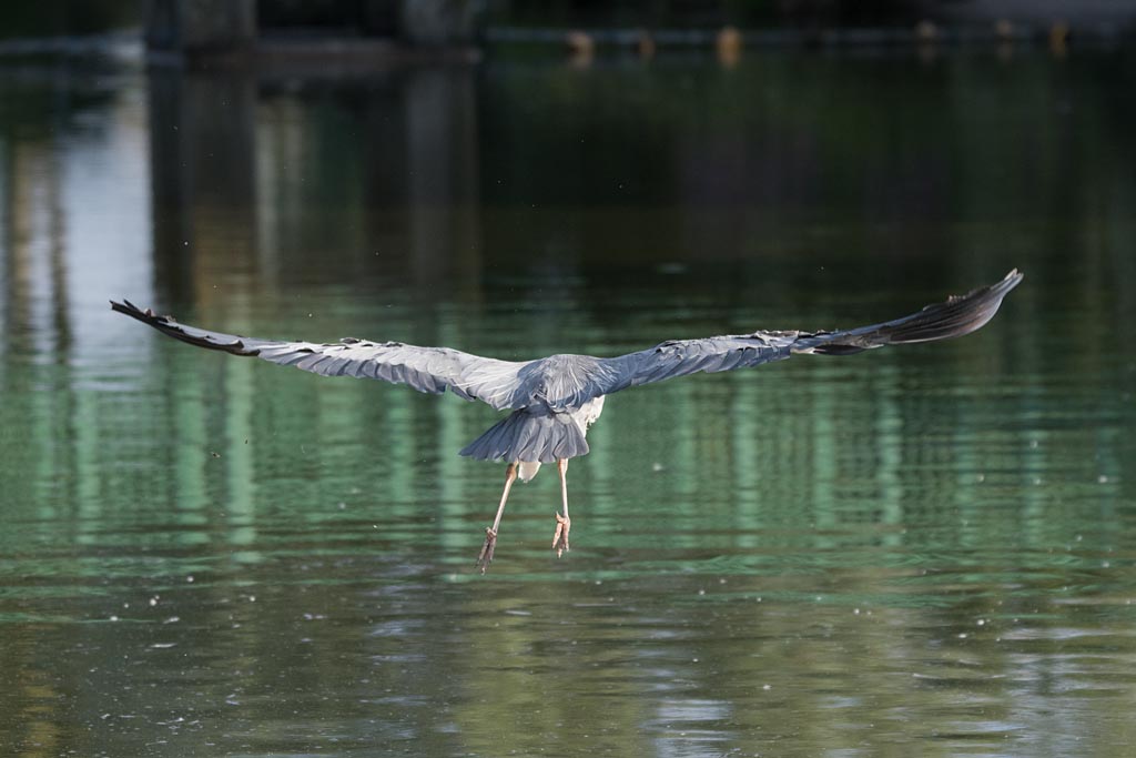 DSC_2107.jpg