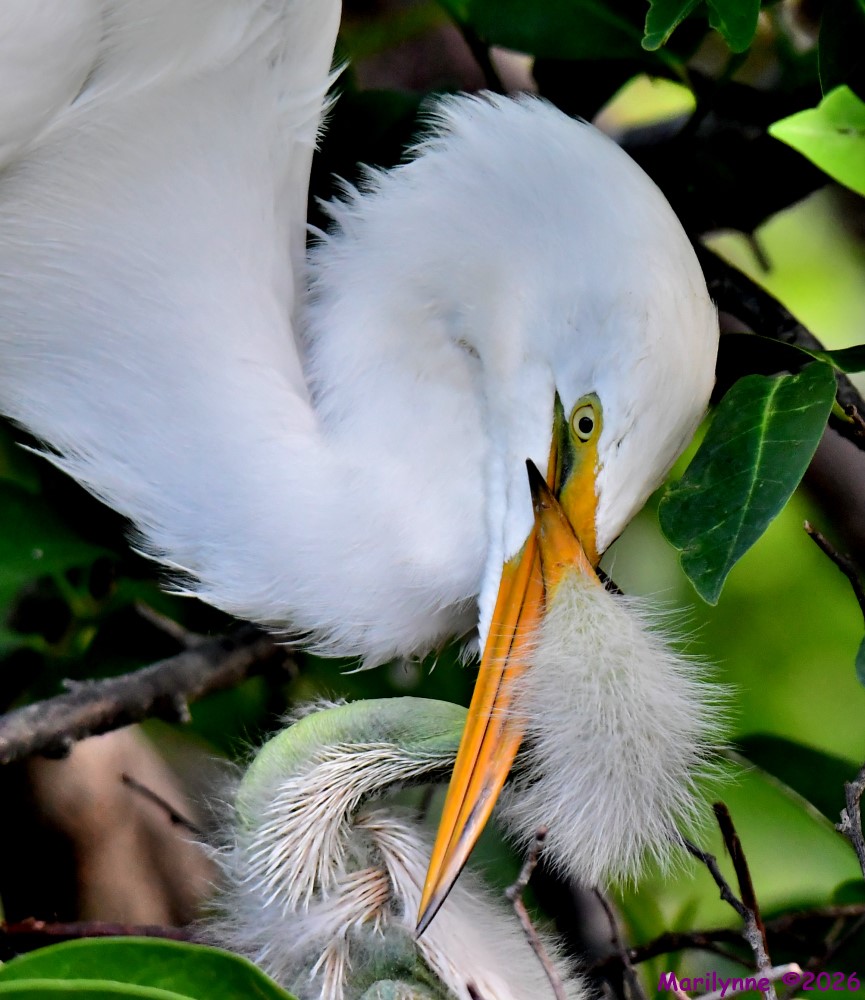 DSC_2107_001.JPG