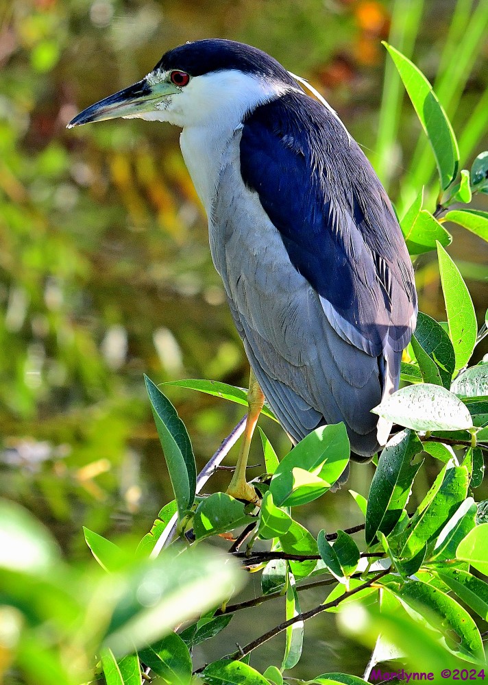 DSC_2108_001.JPG