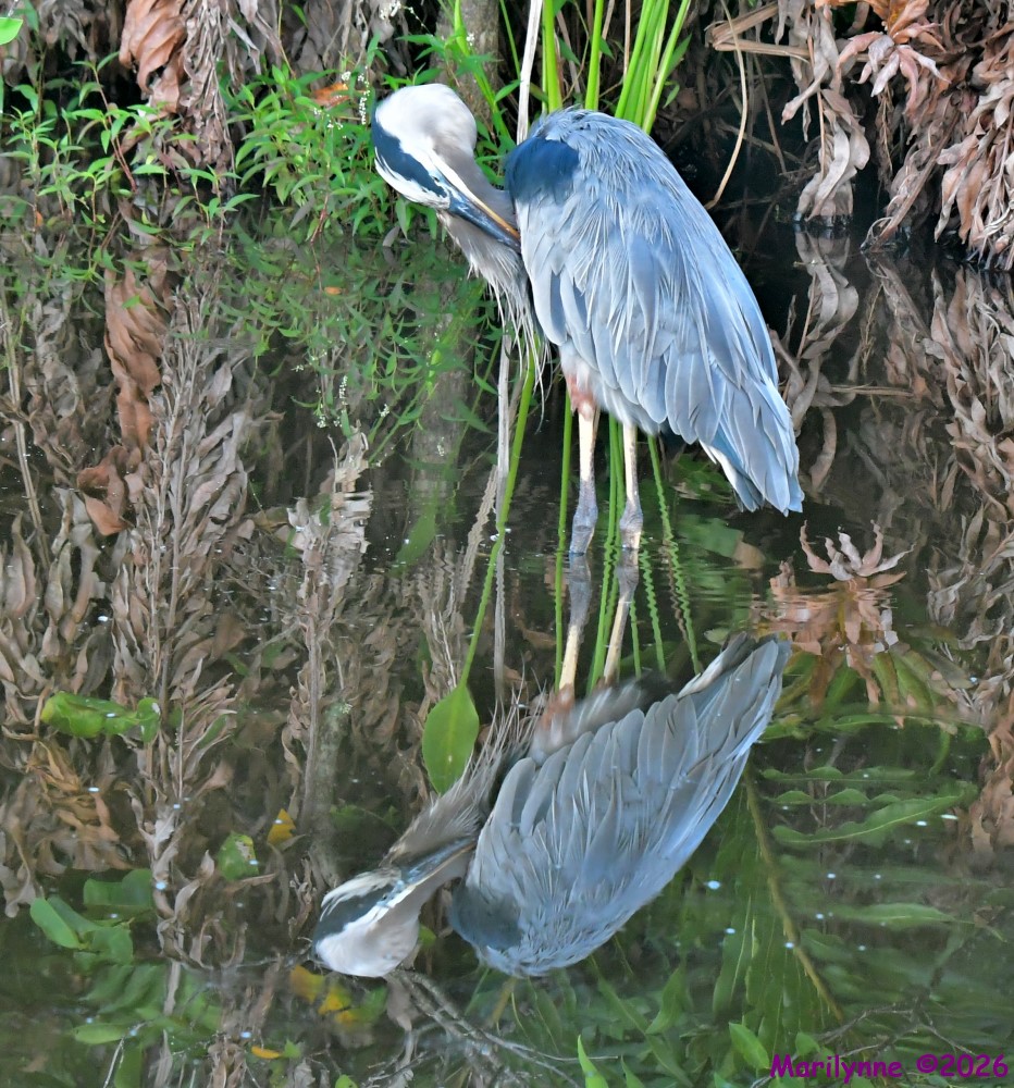 DSC_2110_001.JPG