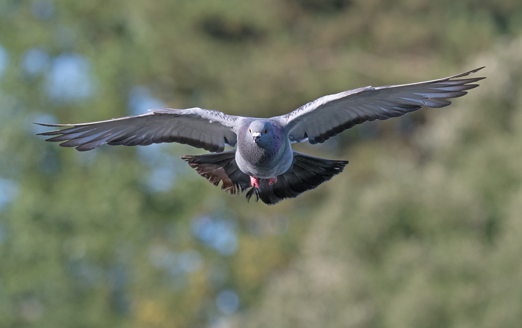 DSC_2111.jpg