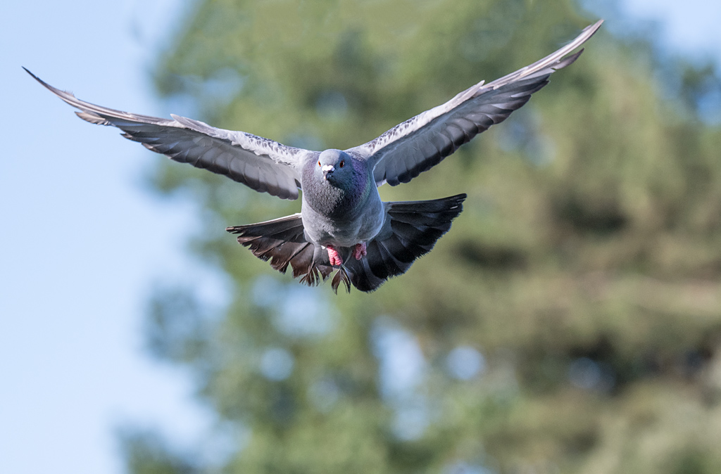 DSC_2112.jpg