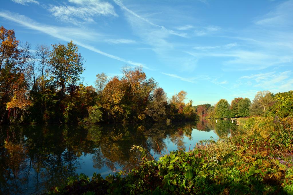 DSC_2117.jpg