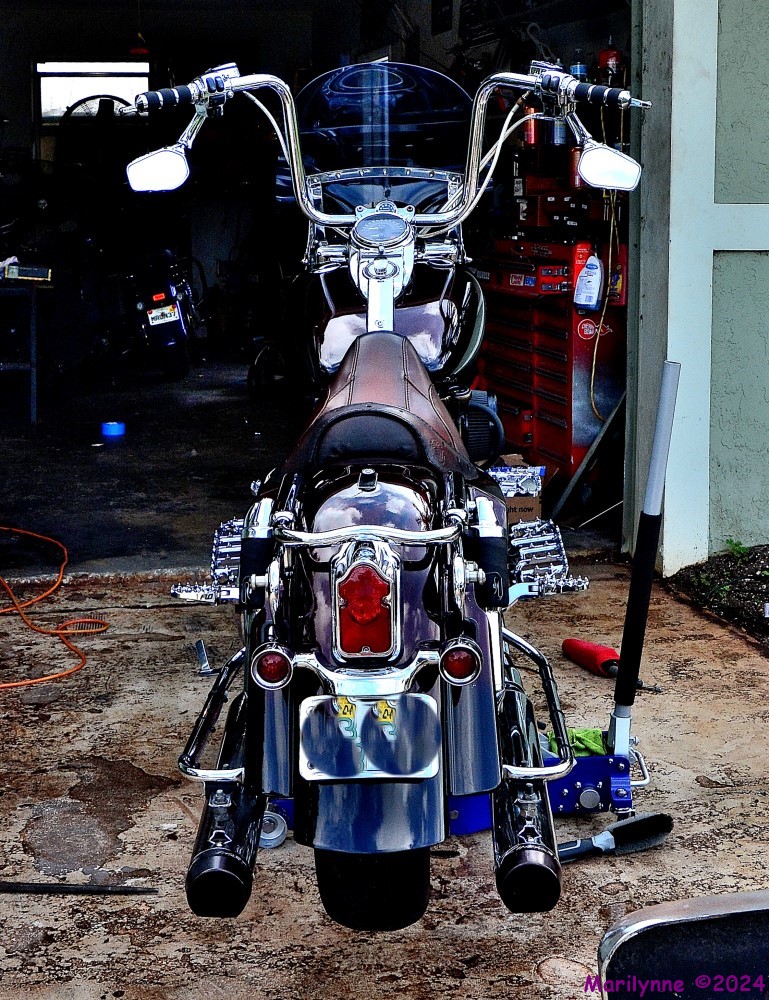 DSC_2117_001.JPG