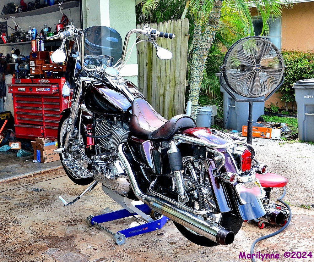 DSC_2119_001.JPG