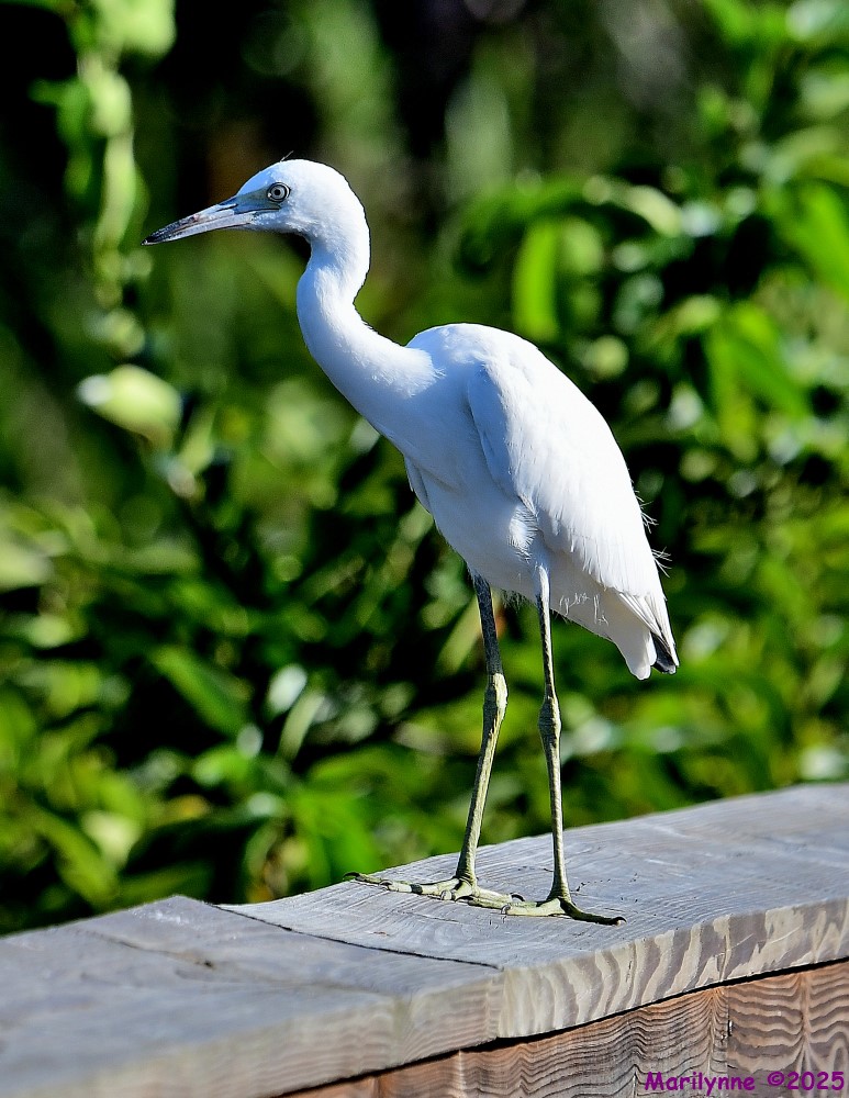 DSC_2120_001.JPG