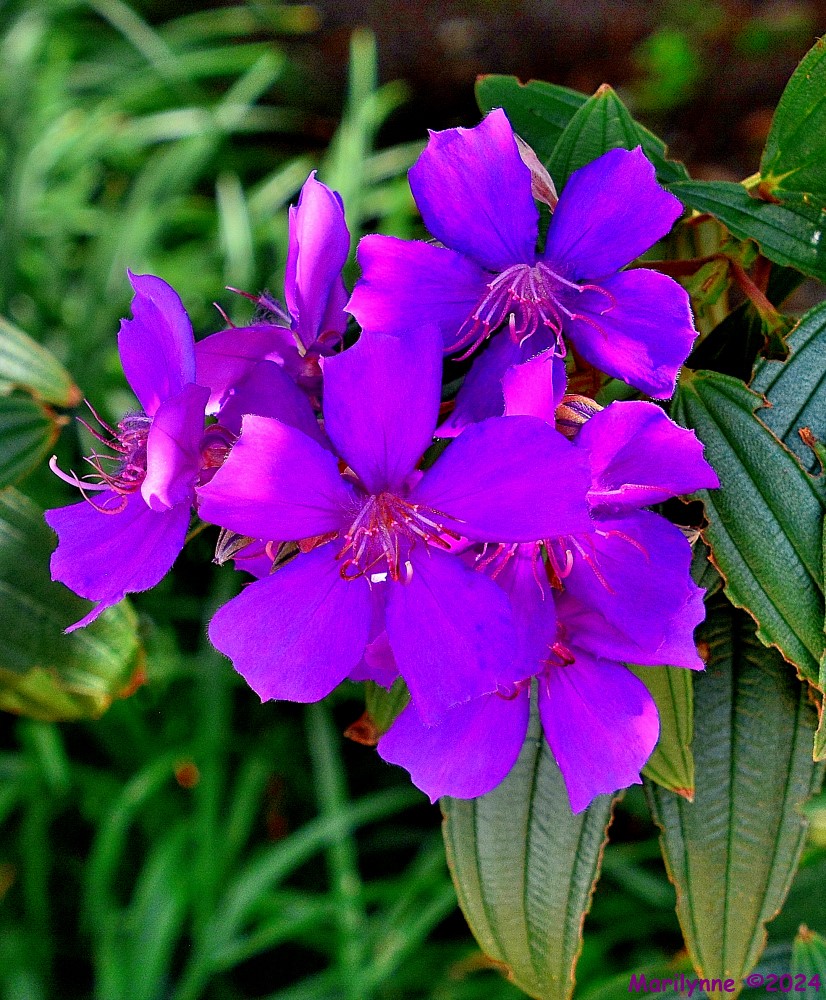 DSC_2123_001.JPG
