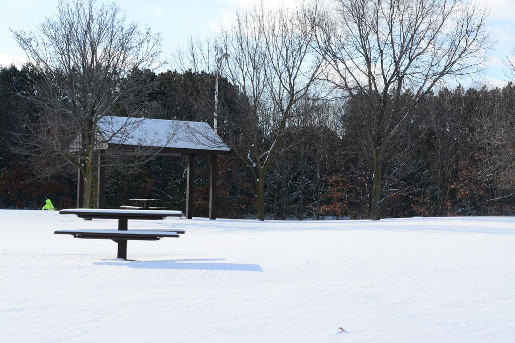 DSC_2128.jpg