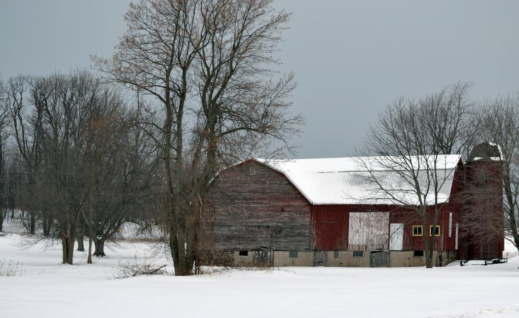 DSC_2132.jpg