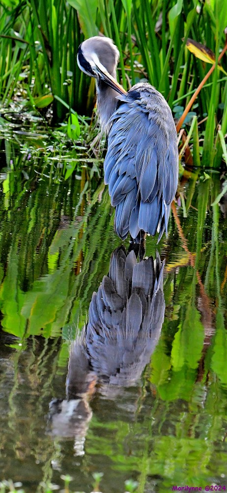 DSC_2132_stitch3_001.JPG