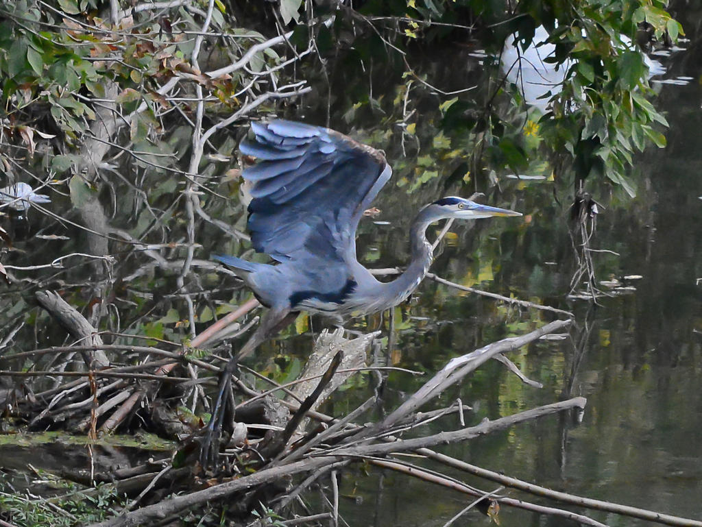 DSC_2135-2.jpg
