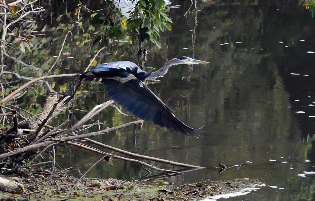DSC_2136-2.jpg