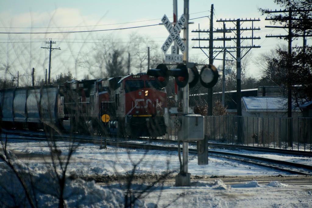DSC_2141.jpg