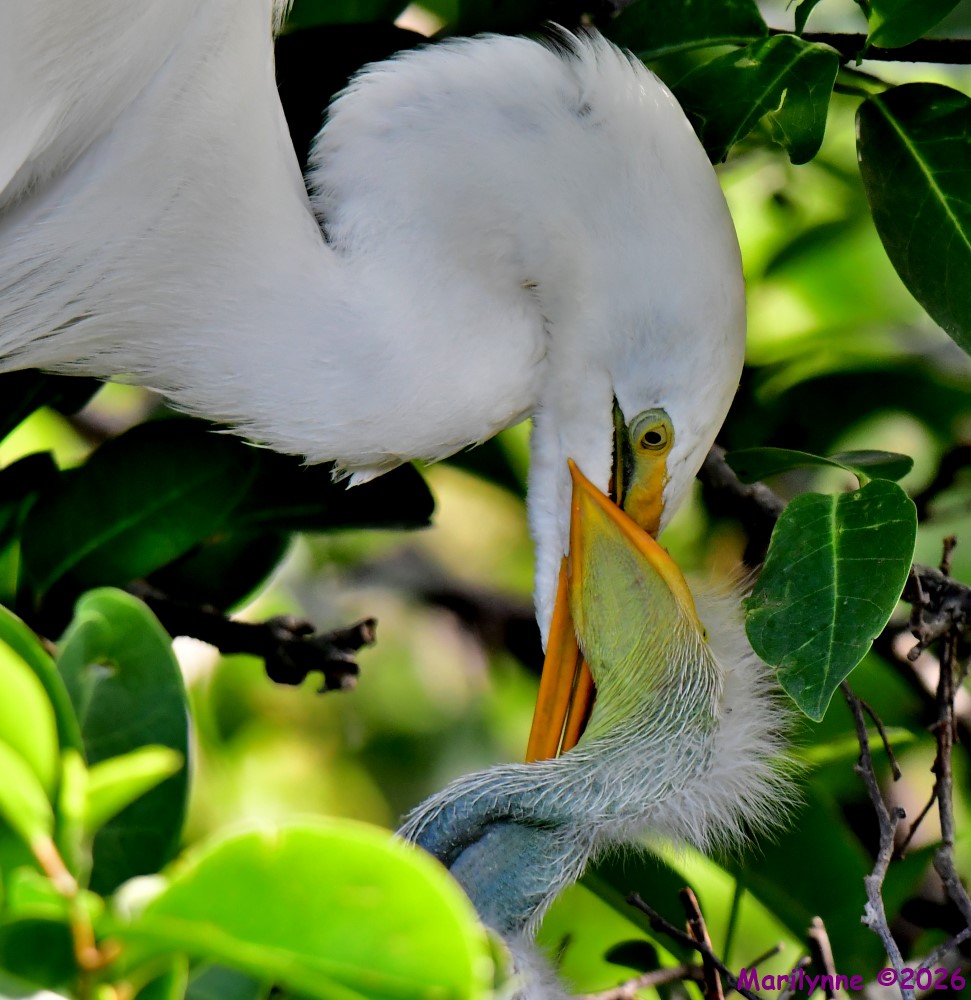 DSC_2141_001.JPG