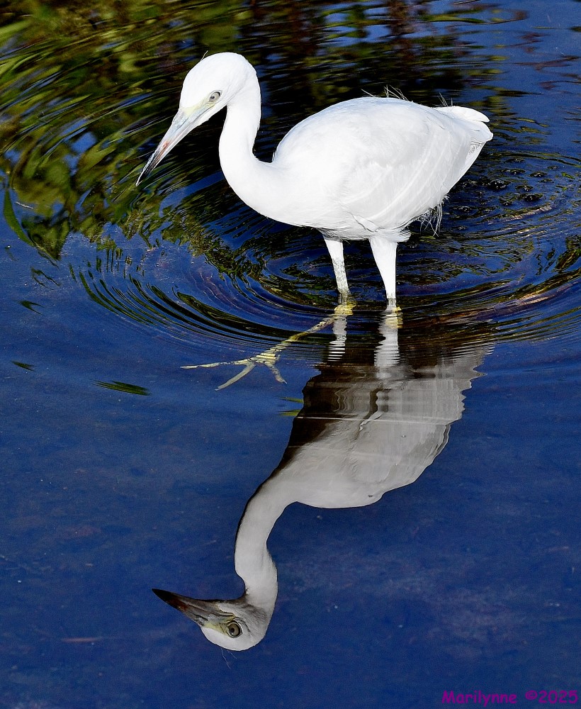 DSC_2144_001.JPG