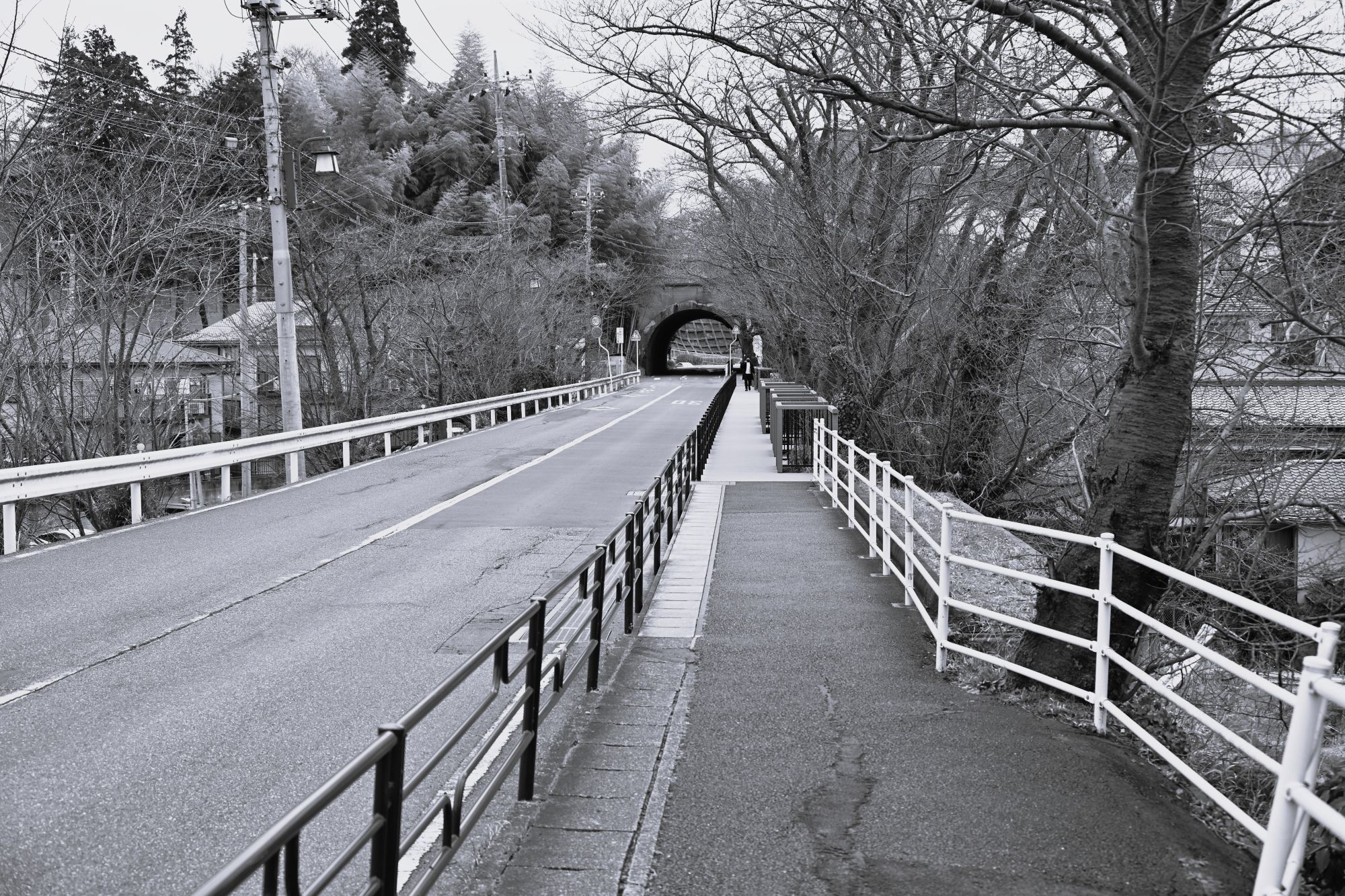 DSC_2149.JPG