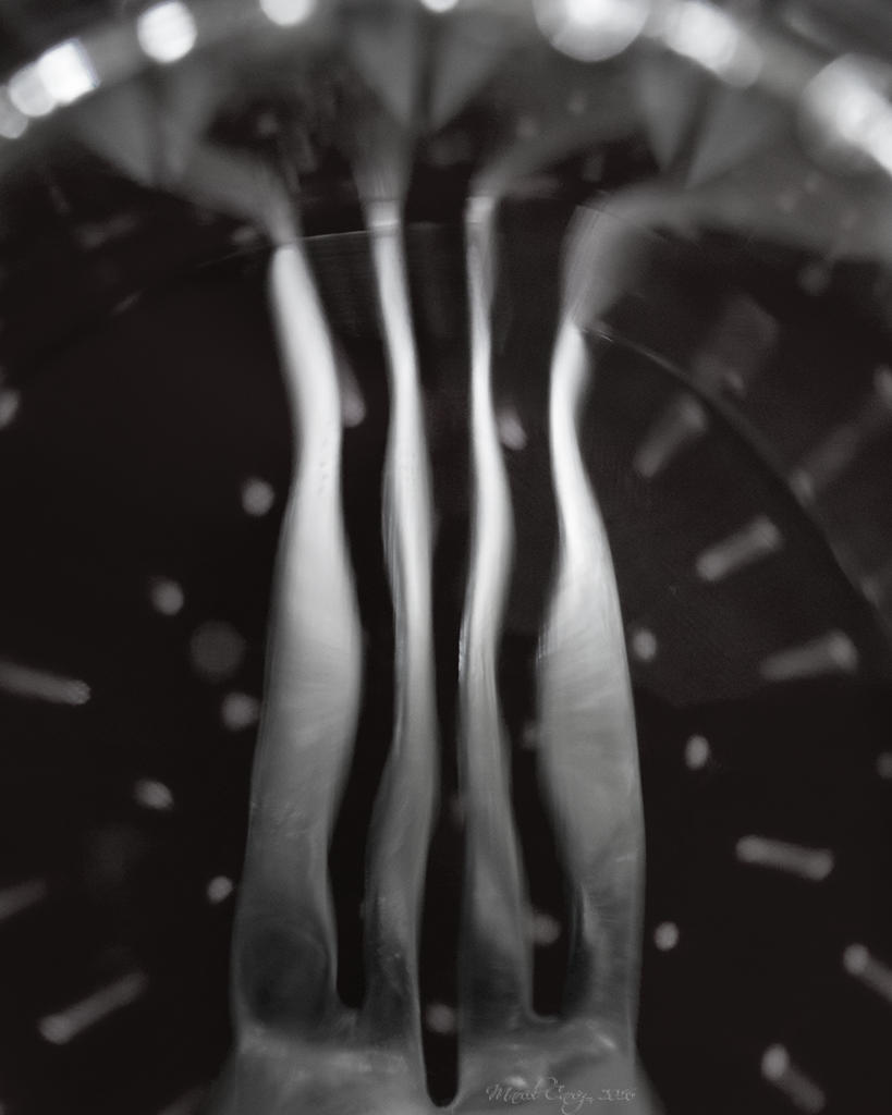 DSC_2150 b&w.jpg
