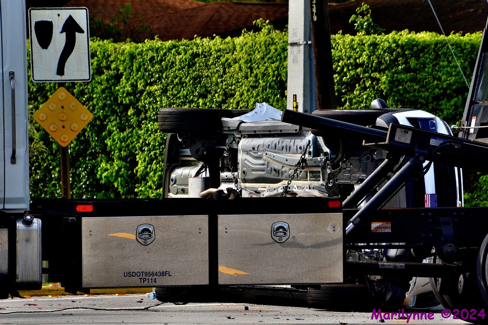 DSC_2150_001.JPG