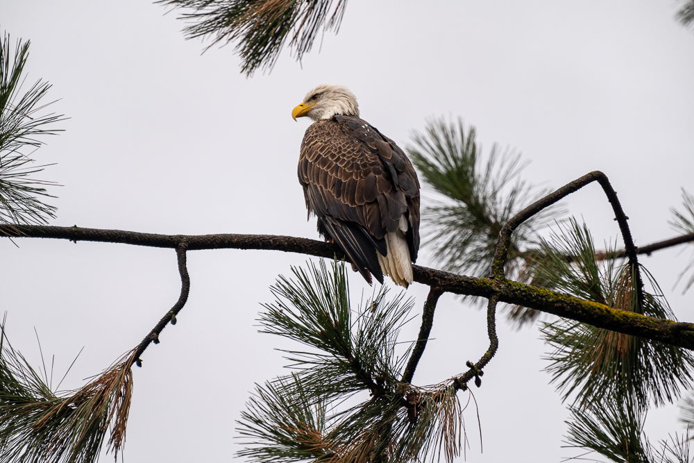 DSC_2157.JPG