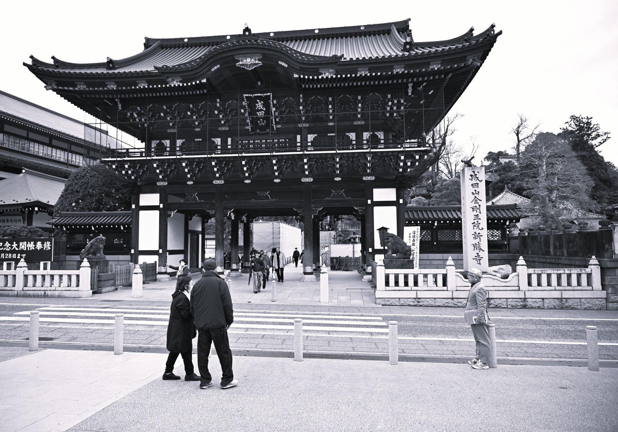 DSC_2157.JPG