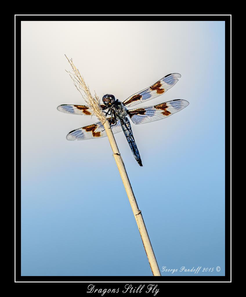 DSC_2159_Web.jpg
