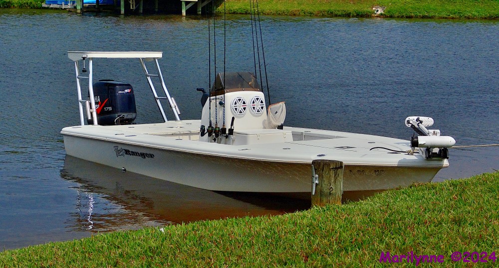 DSC_2168_001.JPG
