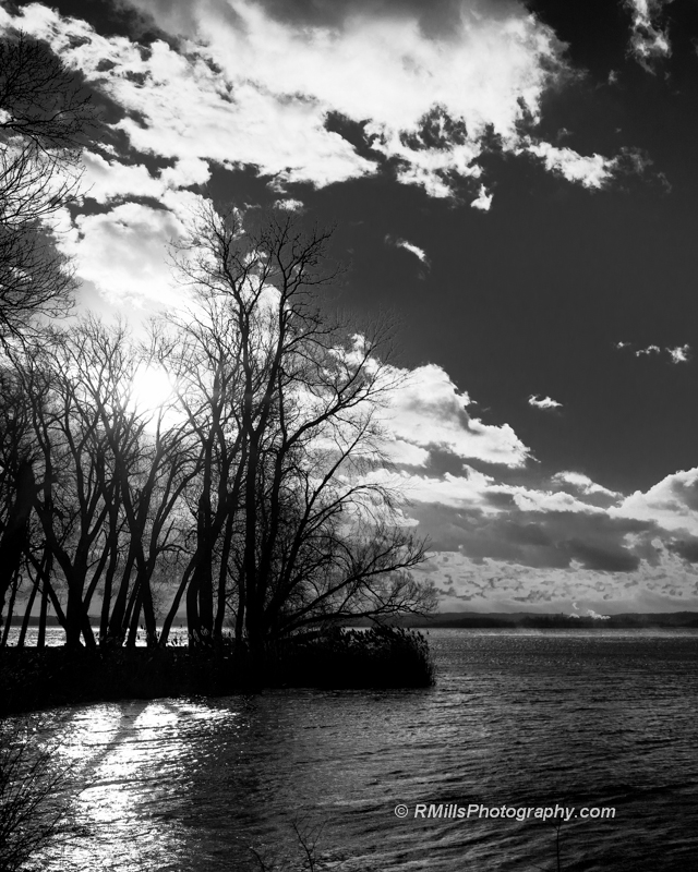 DSC_2169_5266.jpg