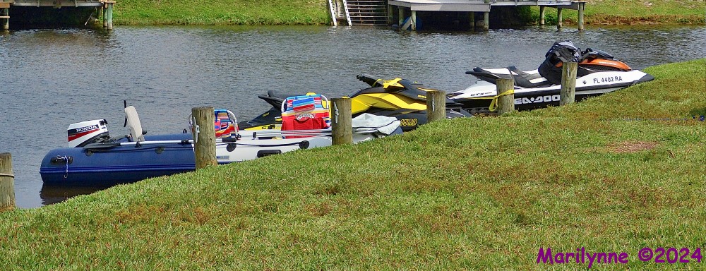 DSC_2170_001.JPG