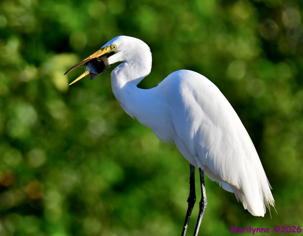 DSC_2180_001.JPG