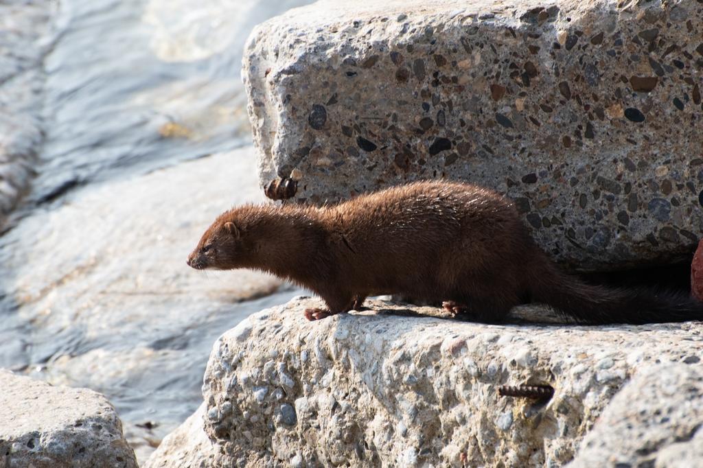DSC_2181.jpg